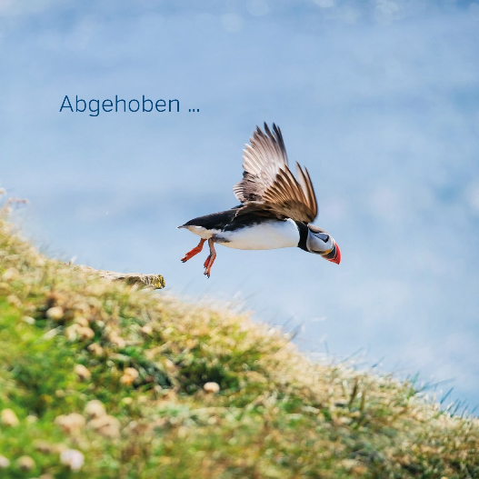 Vogel am Meer