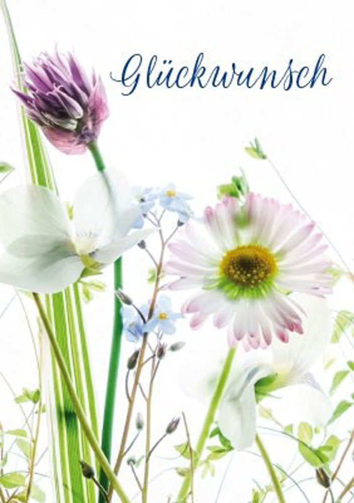 Karte Glückwunsch Blumen Margerite