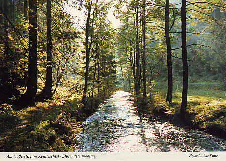 Ansichtskarte Am Flößersteig im Kirnitzschtal