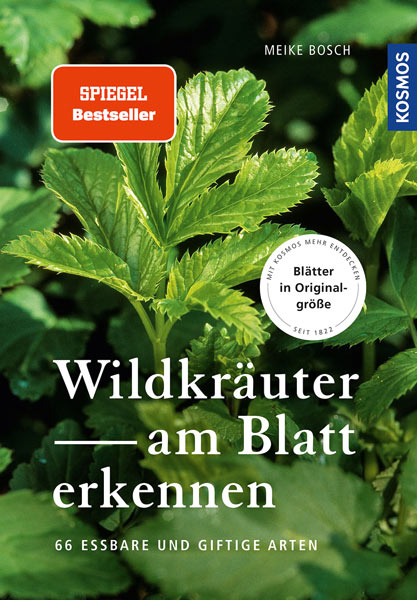 Wildkräuter Buch Bestimmung