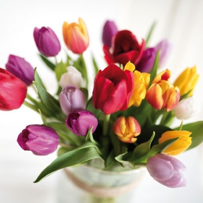 Gute Laune Block Blumenband