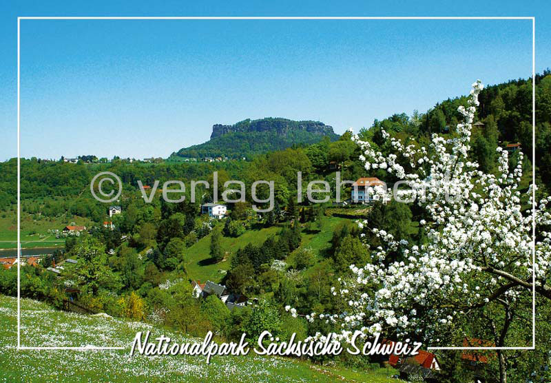 Ansichtskarte Der Lilienstein - Blick von Pfaffendorf