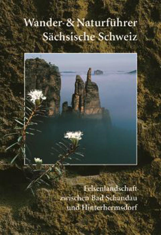 Buch Felsen Sächsische Schweiz