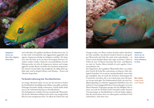 Tauchen Buch Stille Welten Fische