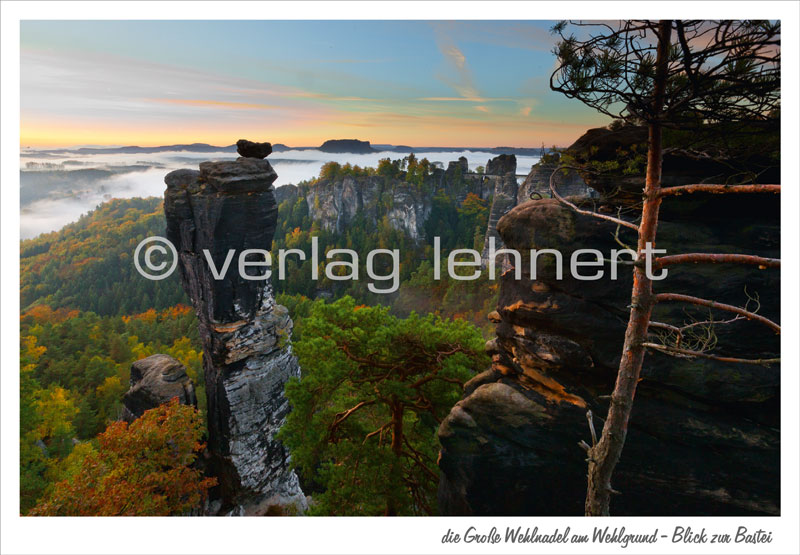Wehlnadel