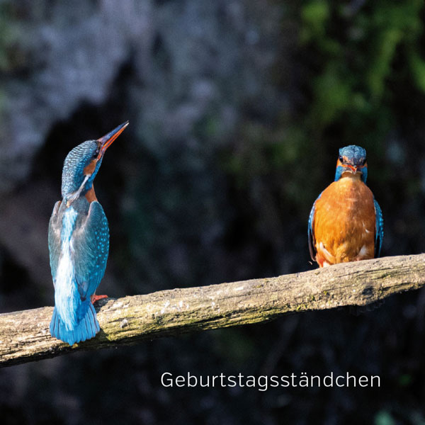 Gute Laune Block Geburtstag NEU!