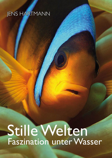 Tauchführer Stille Welten Nemo Tauchbuch